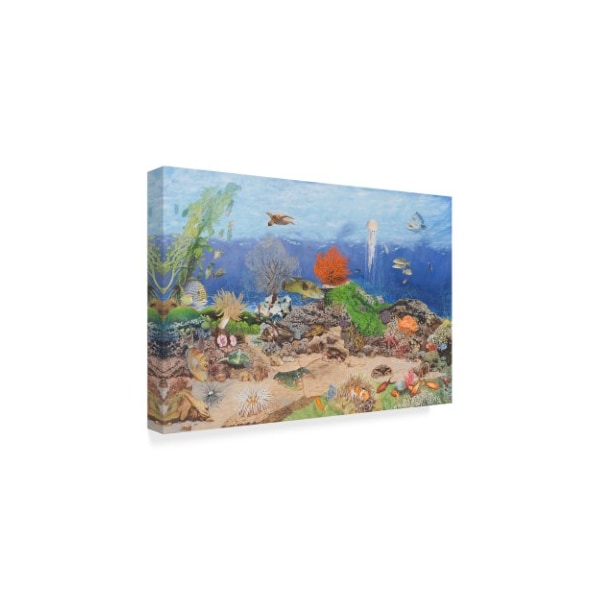 Les Ray 'In The Reef' Canvas Art,30x47